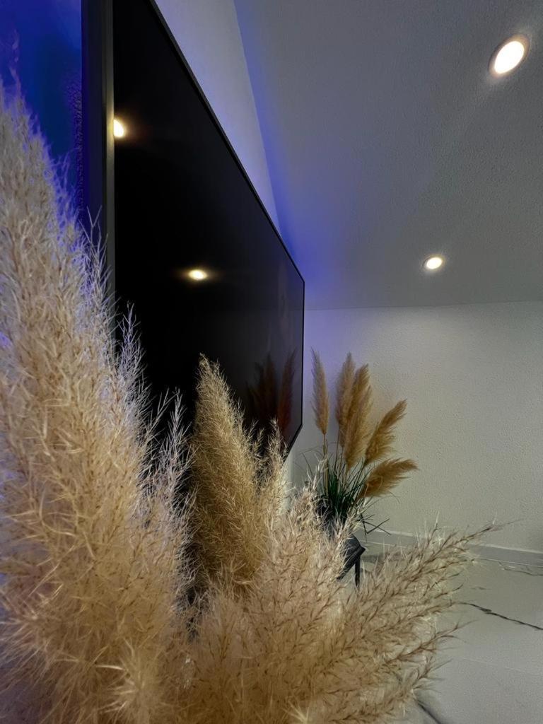 Luxury Apartment Megy Otocac Exterior photo